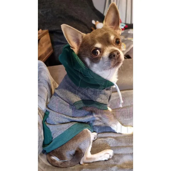 Grey & Green Sleeveless Zip Dog Hoodie - Rich Paw - 3