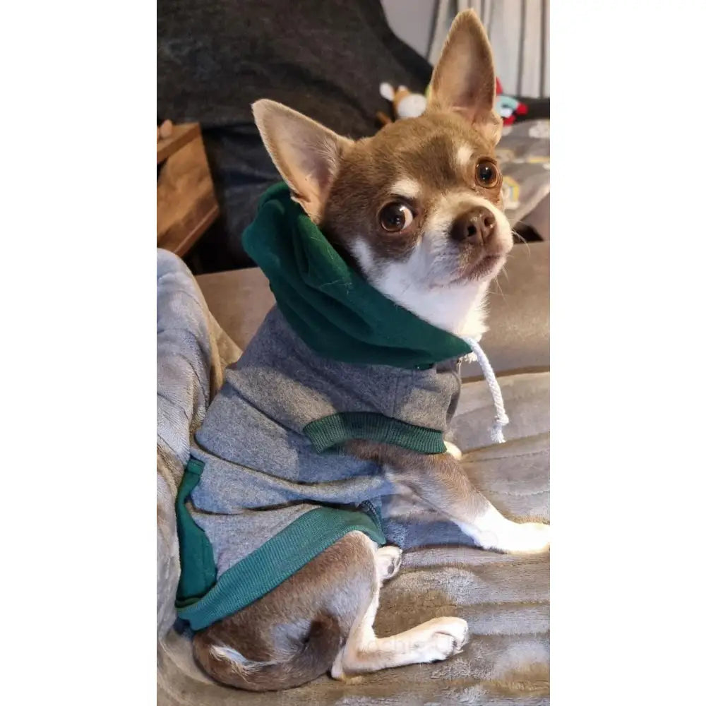 Grey & Green Sleeveless Zip Dog Hoodie - Rich Paw - 3