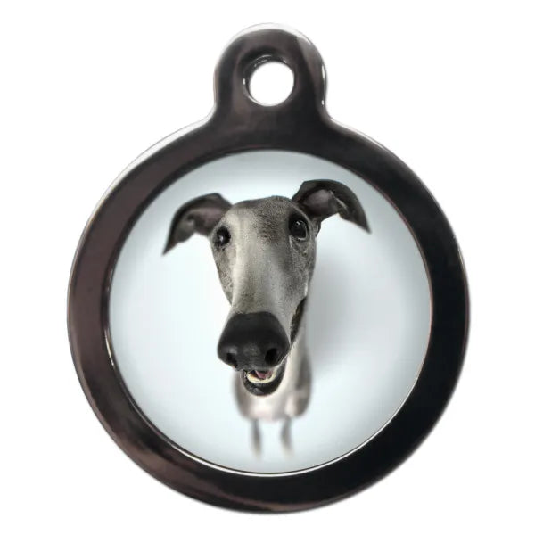 Greyhound Fish Eye Dog Id Tag Ps Pet Tags 1