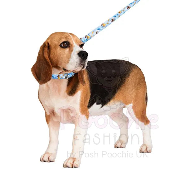Gromit’s Dog Collar - Urban - 4
