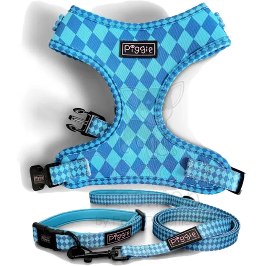 Harlequin Adjustable Neck Dog Harness Aqua - Piggie - 2