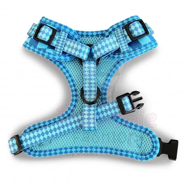 Harlequin Adjustable Neck Dog Harness Aqua - Piggie - 3