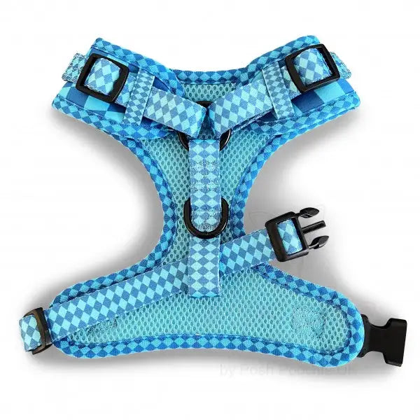 Harlequin Adjustable Neck Dog Harness Aqua - Piggie - 3