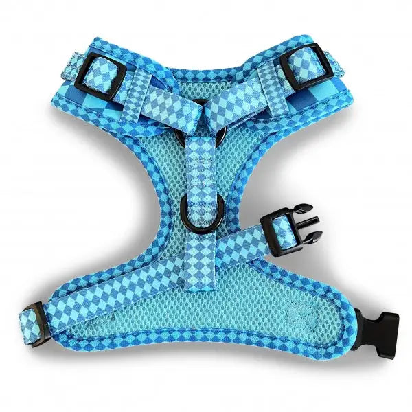 Harlequin Adjustable Neck Dog Harness Aqua - Piggie - 3