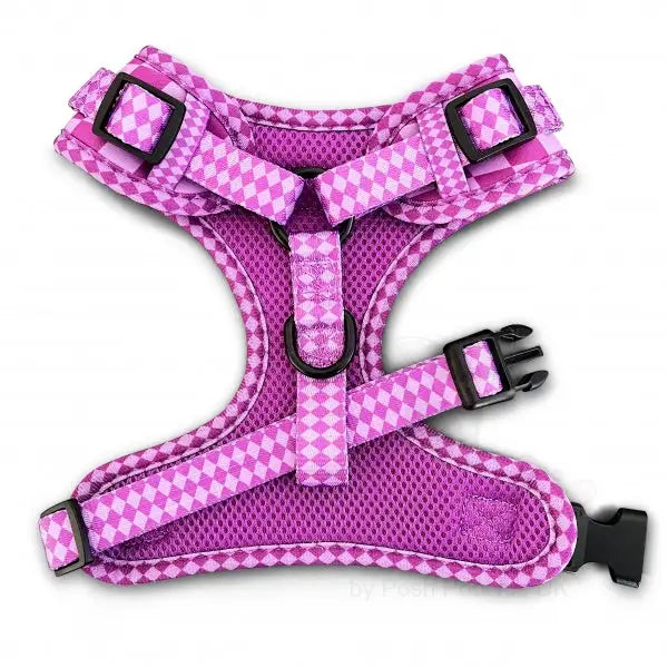 Harlequin Adjustable Neck Dog Harness Purple - Piggie - 3