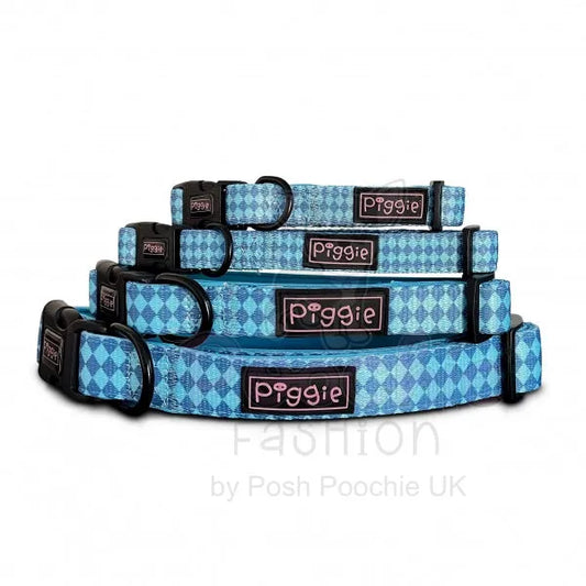 Harlequin Dog Collar Aqua - Piggie - 2
