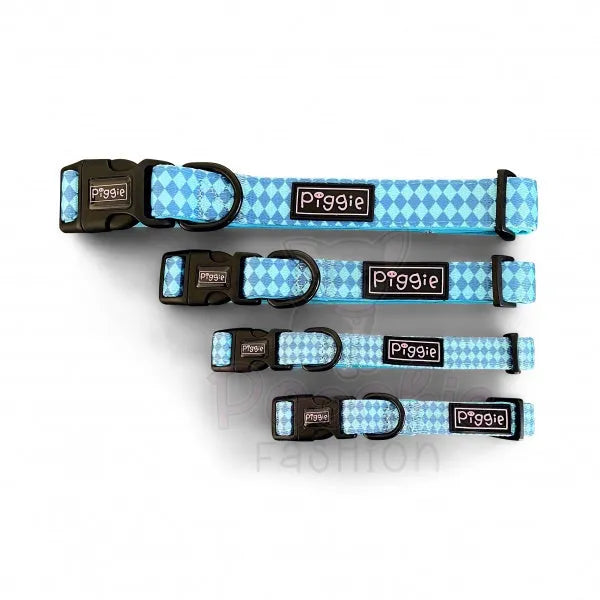 Harlequin Dog Collar Aqua - Piggie - 3