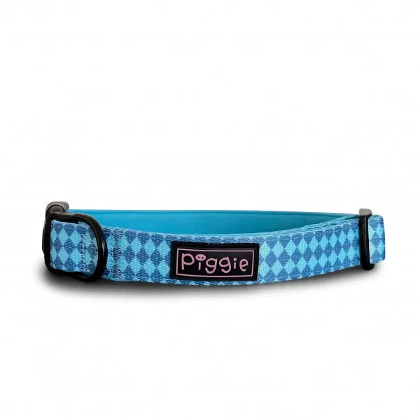 Harlequin Dog Collar Aqua - Piggie - 1