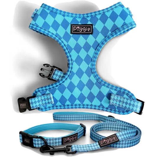Harlequin Dog Harness Bundle In Aqua - Piggie - 1