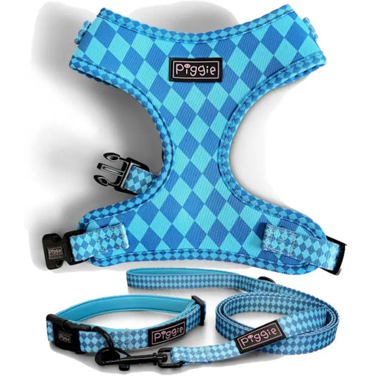 Harlequin Dog Lead Aqua - Piggie - 2