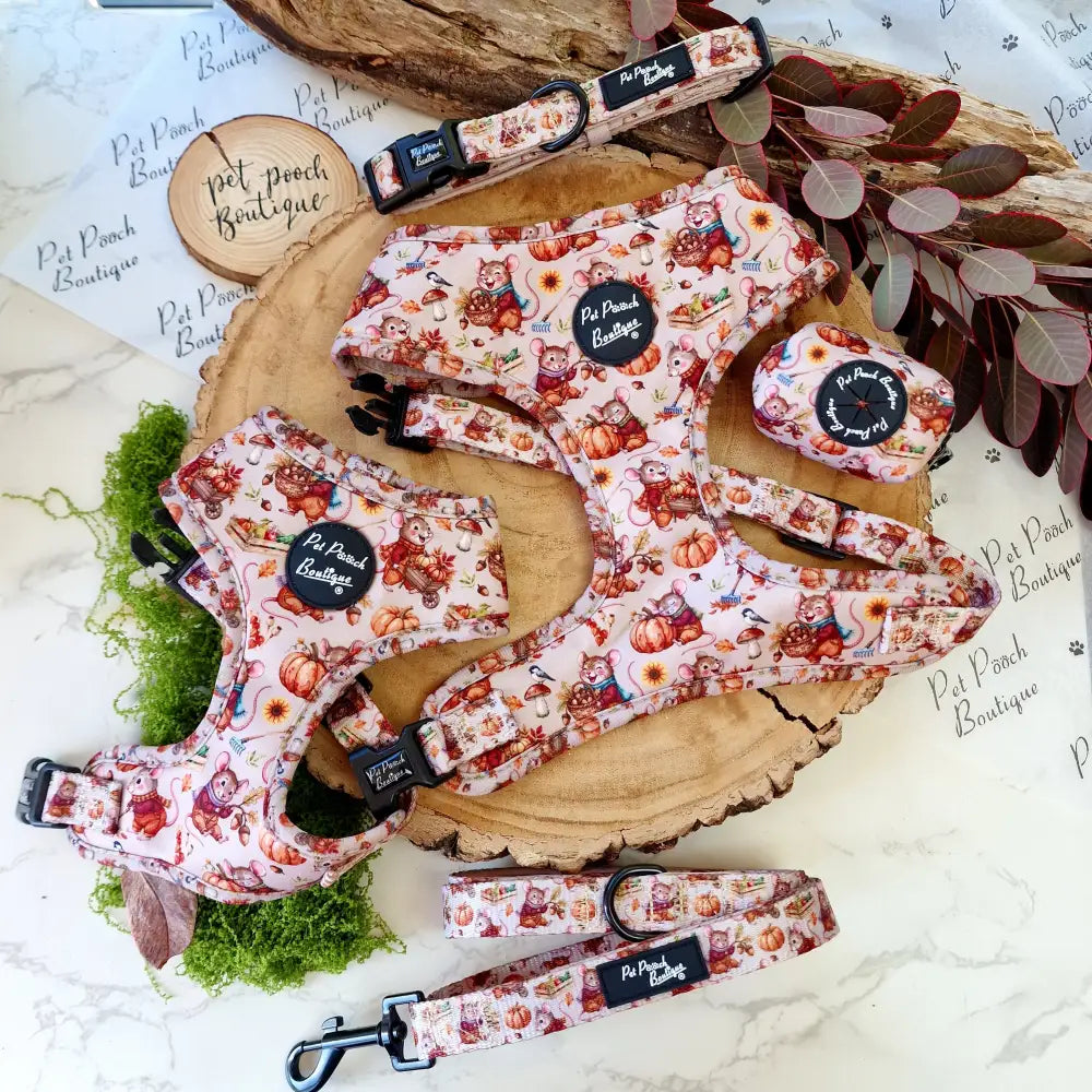 Harvest Mouse Dog Collar - Pet Pooch - 5