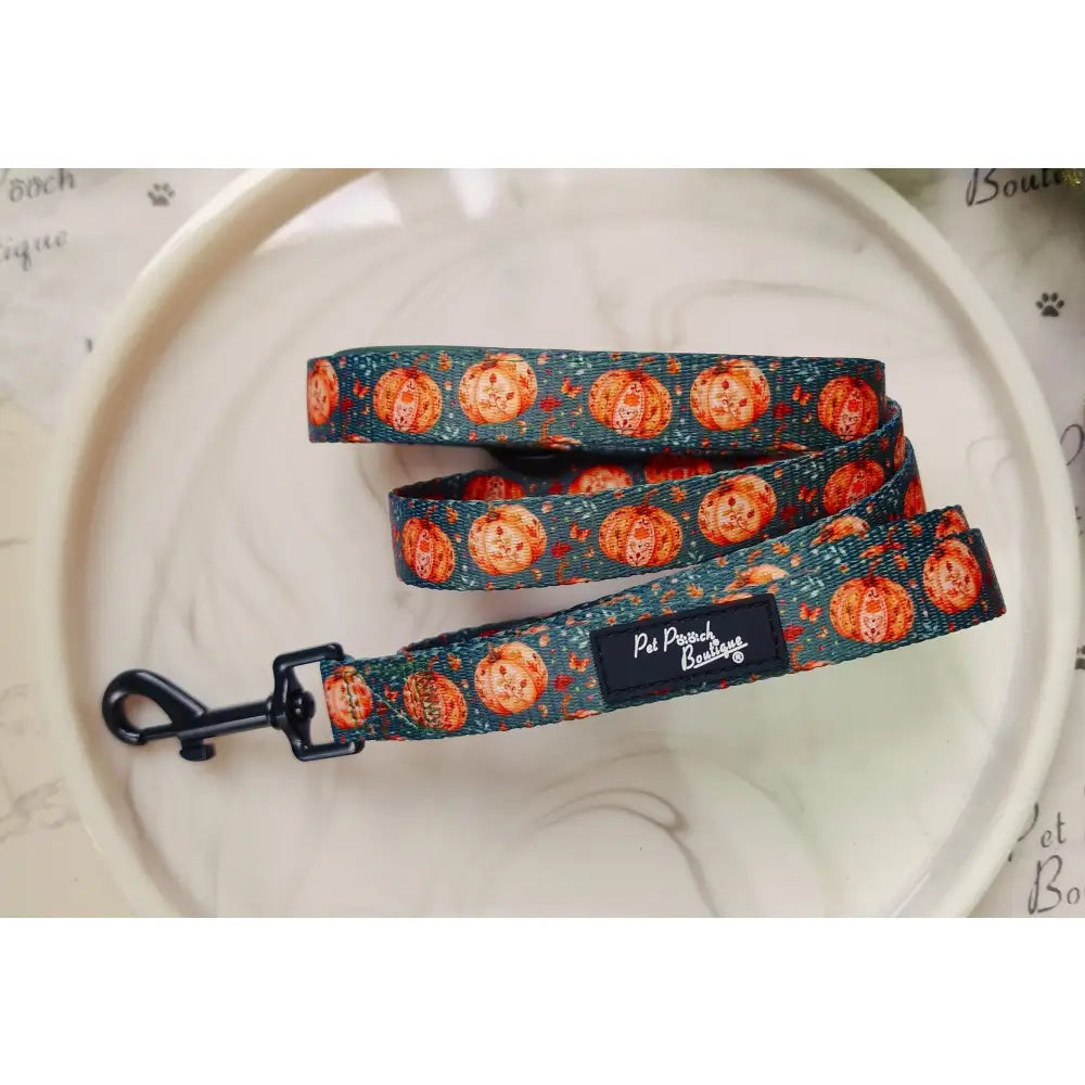Harvest Pumpkin Dog Lead - Pet Pooch - 1
