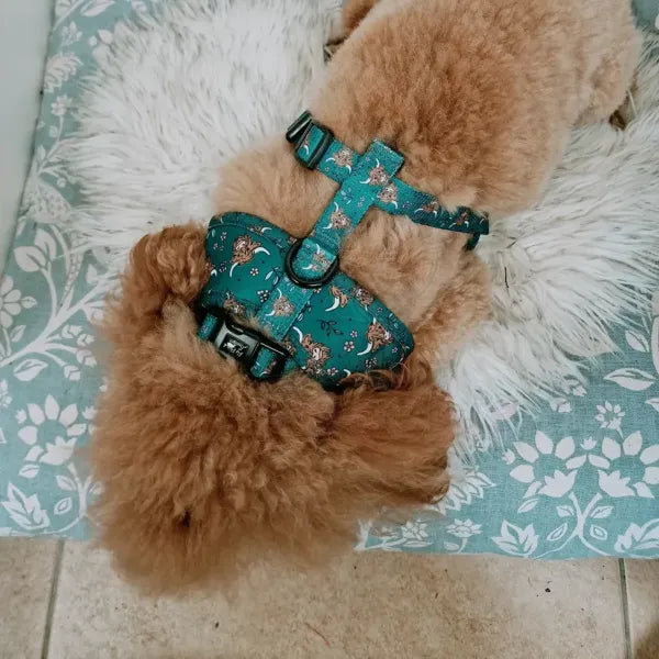 Highland Cow Dog Collar - Pet Pooch - 3