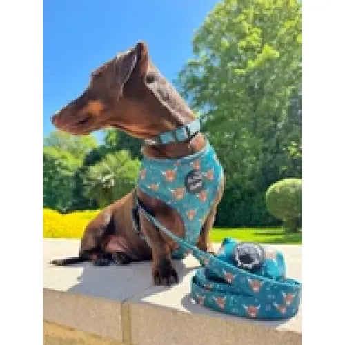 Highland Cow Dog Harness - Pet Pooch - 5