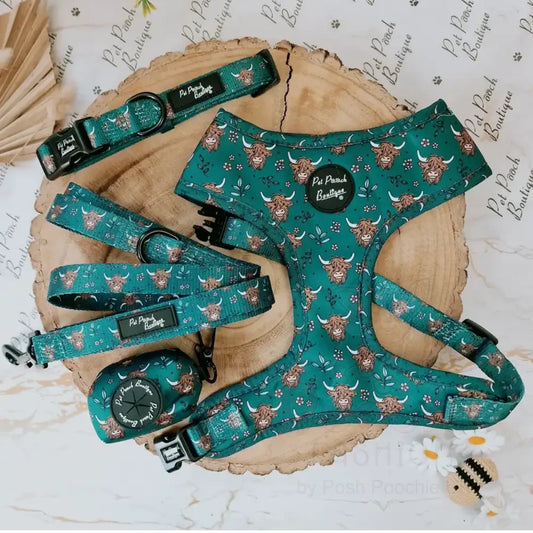 Highland Cow Dog Lead - Pet Pooch - 2