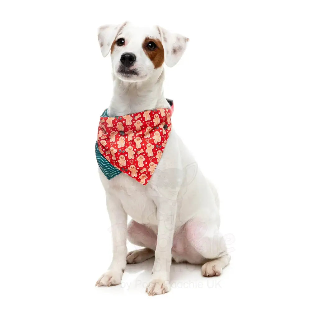 Holly Jolly Cookies Bow Tie & Bandana by Fuzzyard - Fuzzyard - 2