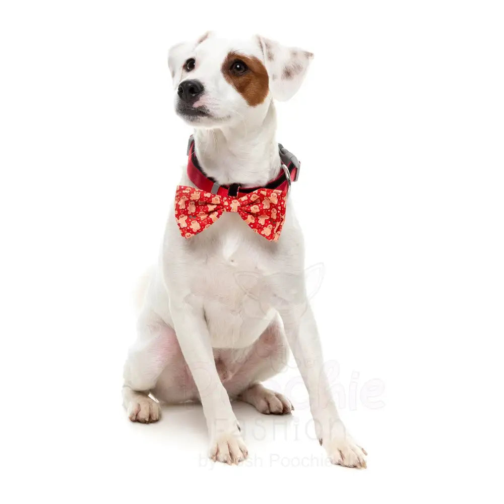 Holly Jolly Cookies Bow Tie & Bandana by Fuzzyard - Fuzzyard - 3