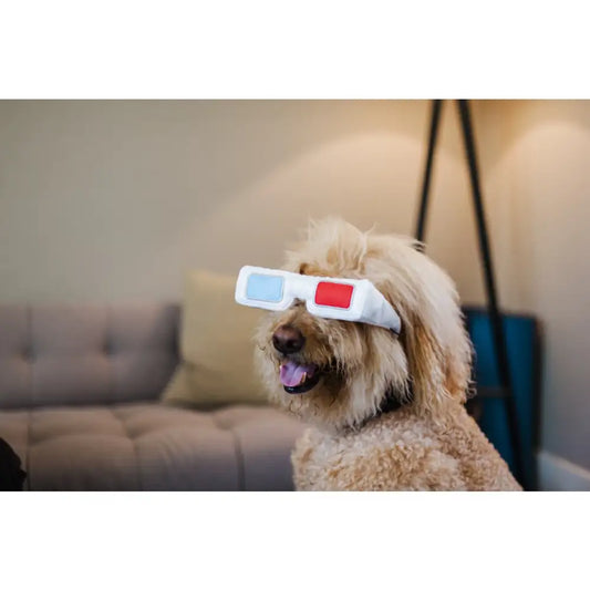 Hollywoof D3-dog Glasses Dog Toy by P.l.a.y - P.l.a.y - 2