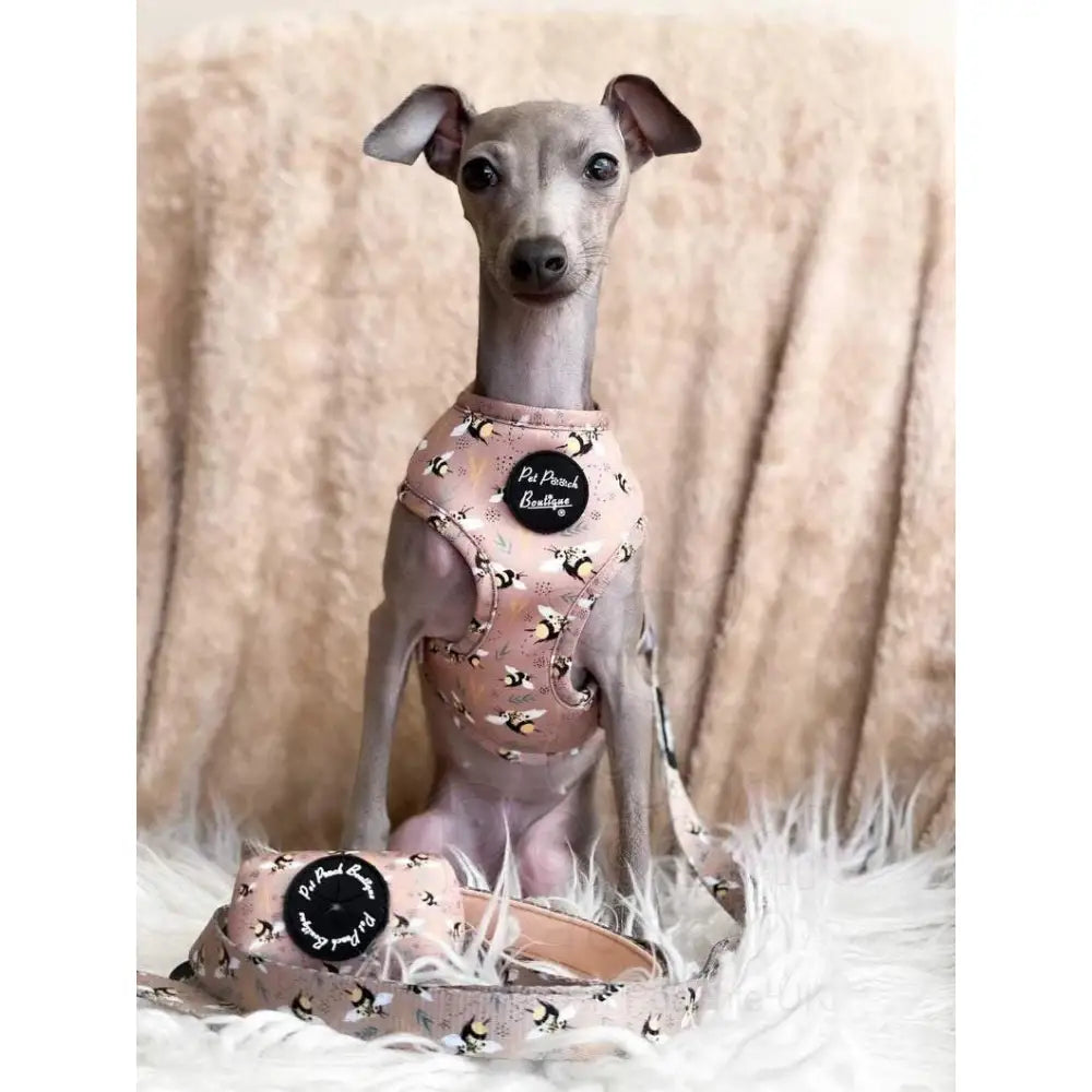 Honey Bumble Bee Dog Poo Bag Holder - Sale - 2