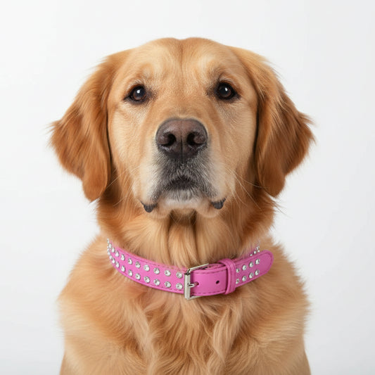 Hot Pink Rhinestone Crystal Dog Collar - Posh Pawz - 1