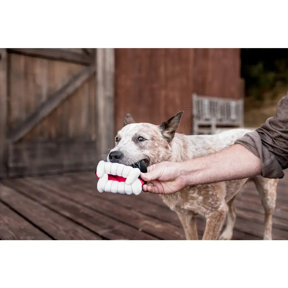 Howling Haunts Barky’s Bite Dog Toy by P.l.a.y - P.l.a.y - 4