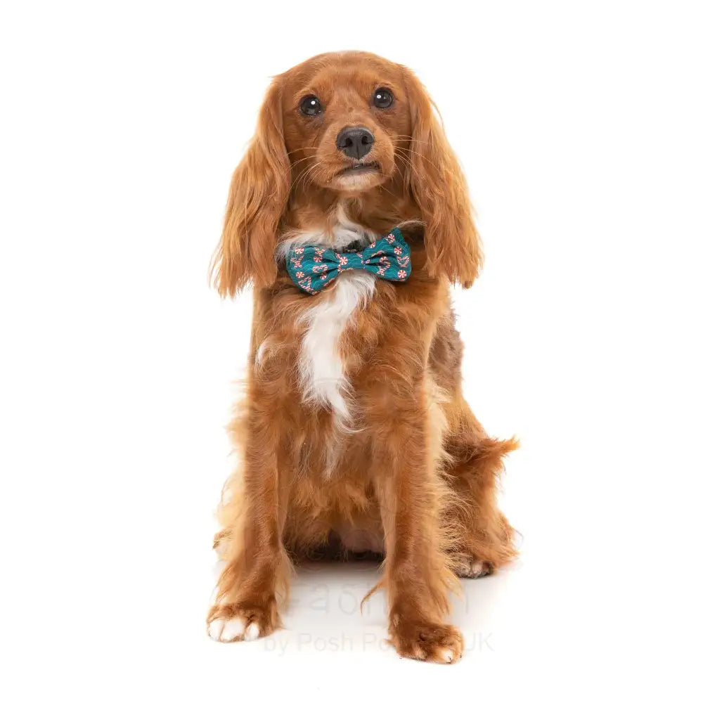 I Heart Candy Canes Bow Tie & Bandana by Fuzzyard - Fuzzyard - 3