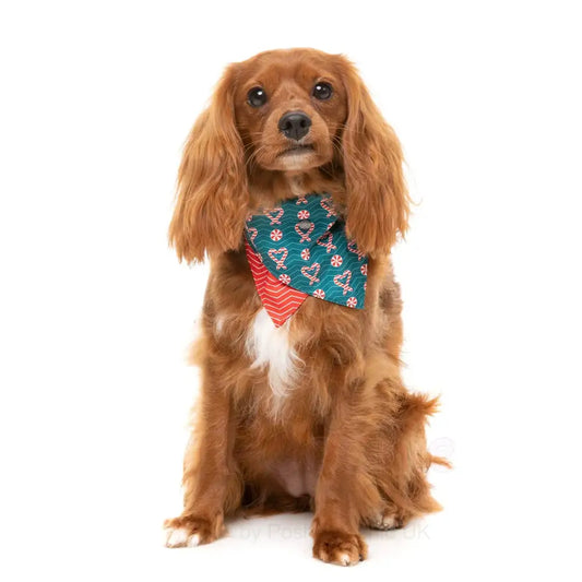 I Heart Candy Canes Bow Tie & Bandana by Fuzzyard - Fuzzyard - 2