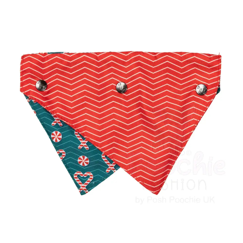 I Heart Candy Canes Bow Tie & Bandana by Fuzzyard - Fuzzyard - 4