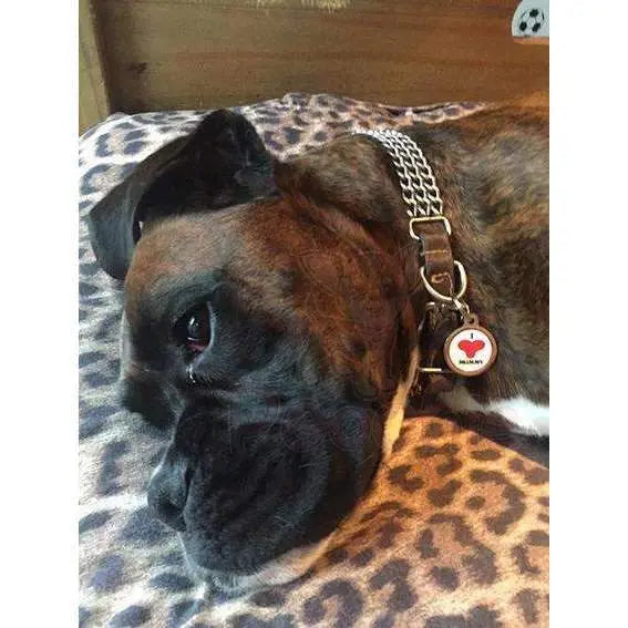 I Love Mummy Pet Id Tag - Urban - 2