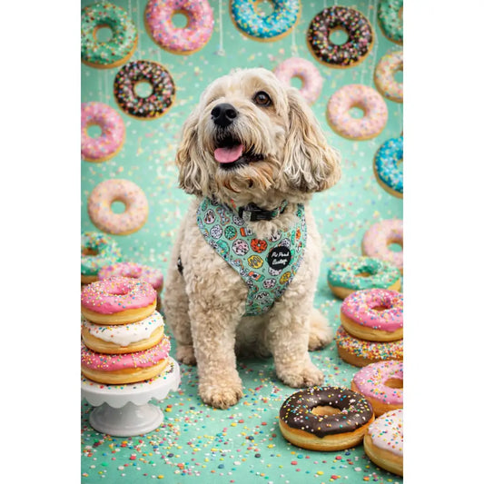 Iced Doughnuts & Coffee Dog Harness - Pet Pooch - 2