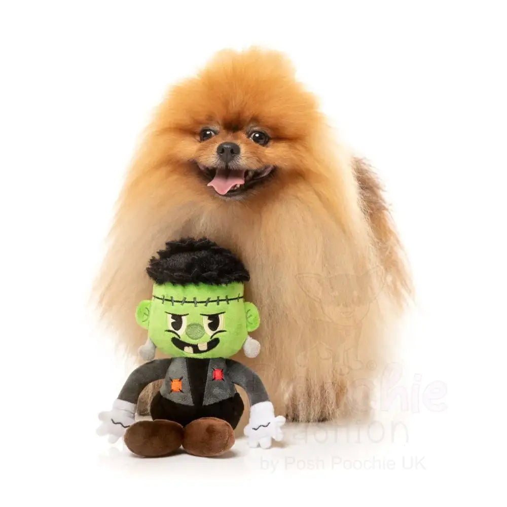 Igor Halloween Dog Toy by Fuzzyard - Fuzzyard - 6