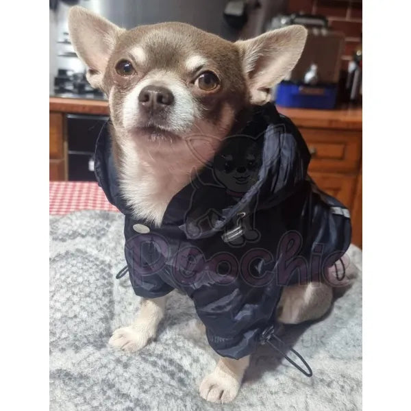 Ink Blue Dog Raincoat - Sale - 3