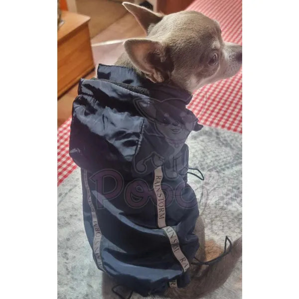 Ink Blue Dog Raincoat - Sale - 4