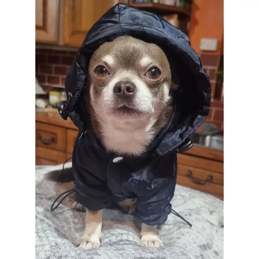 Ink Blue Dog Raincoat - Sale - 6