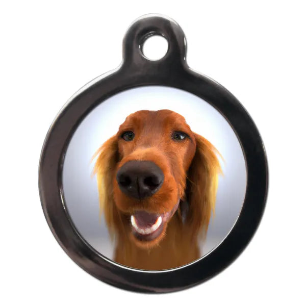 Irish Setter Fish Eye Dog Id Tag Ps Pet Tags 1