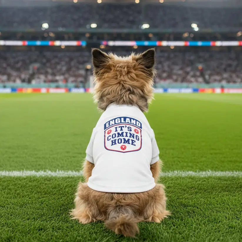 It’s Coming Home England Dog Football Shirt - Poochie Fashion - 2