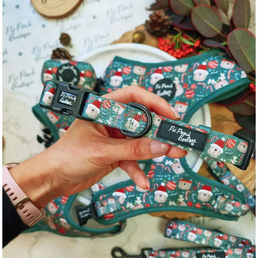 Jolly Bear Christmas Dog Collar - Pet Pooch - 1