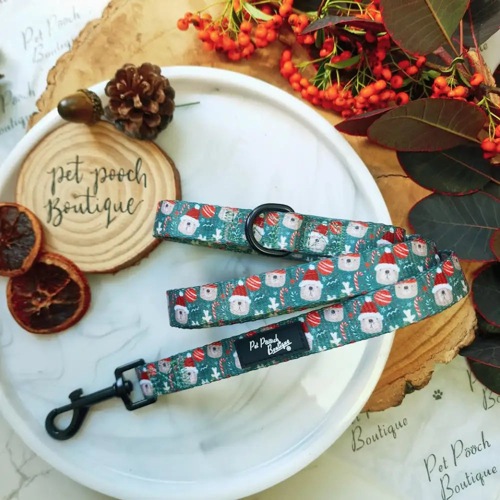 Jolly Bear Christmas Dog Lead - Pet Pooch - 1