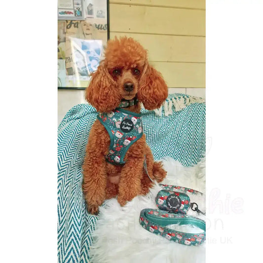 Jolly Bear Christmas Dog Poo Bag Holder - Pet Pooch - 2