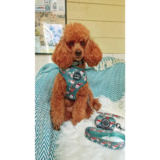 Jolly Bear Christmas Dog Poo Bag Holder - Pet Pooch - 2