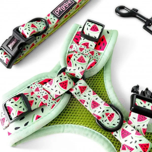 Juicy Fruit Adjustable Dog Harness - Piggie - 3