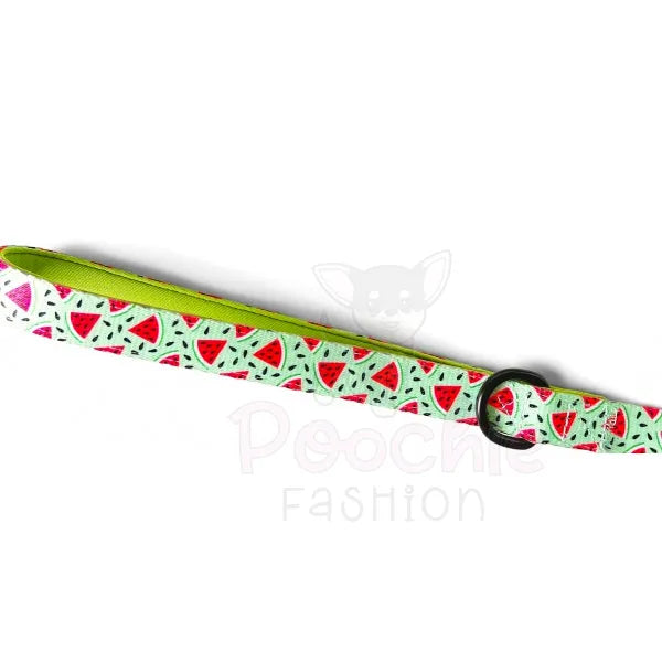 Juicy Watermelon Dog Lead - Piggie - 3