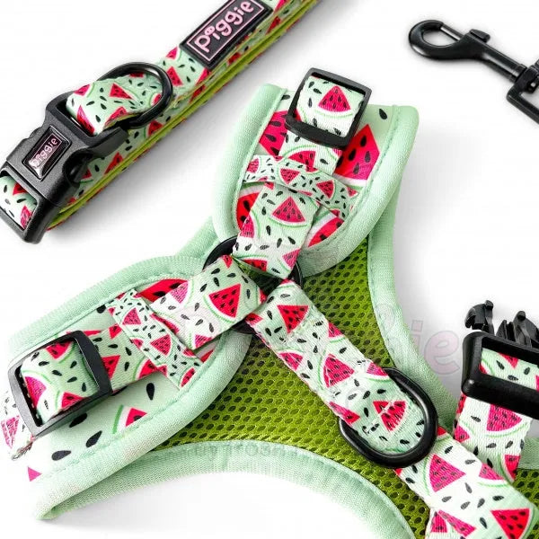 Juicy Watermelon Adjustable Neck Dog Harness - Piggie - 4