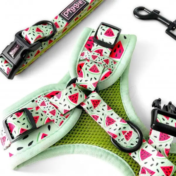 Juicy Watermelon Adjustable Neck Dog Harness - Piggie - 4