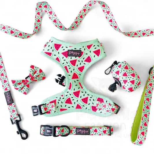 Juicy Watermelon Adjustable Neck Dog Harness - Piggie - 2