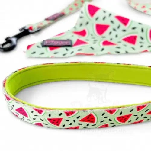 Juicy Watermelon Dog Lead - Piggie - 2