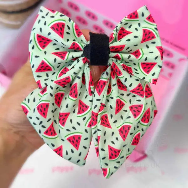 Juicy Watermelon Dog Sailor Bow Tie - Piggie - 3