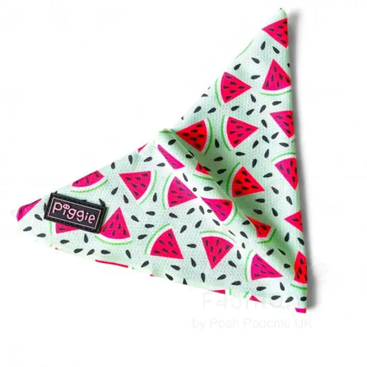 Juicy Watermelon Tie on Dog Bandana - Piggie - 2