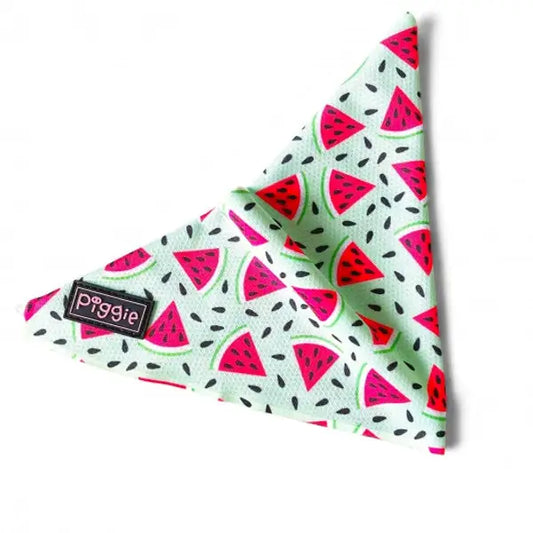 Juicy Watermelon Tie on Dog Bandana - Piggie - 2