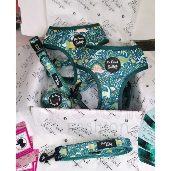 Jurassic Forest Dog Collar Pet Pooch 4